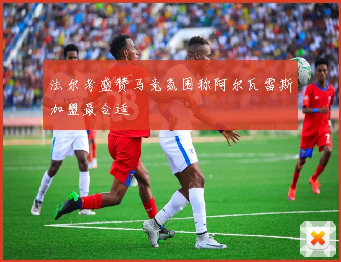 法尔考盛赞马竞氛围称阿尔瓦雷斯加盟最合适